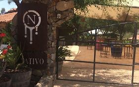 Guest House Nativo - Charming, Cozy & Affordable